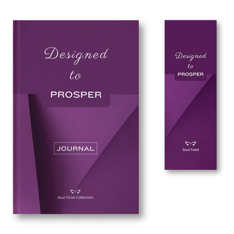 Designed to Prosper Bible-inspired journal and bookmark